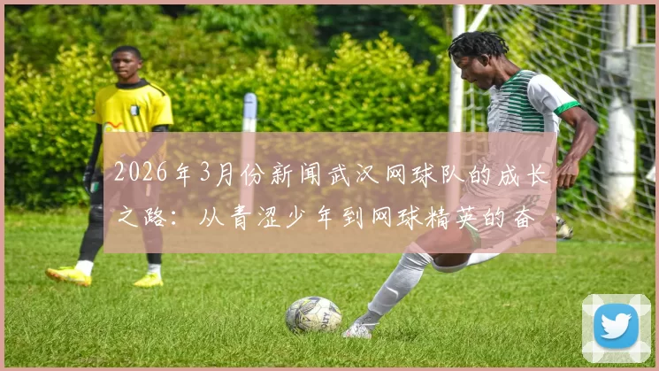 2026年3月份新闻武汉网球队的成长之路：从青涩少年到网球精英的奋斗历程