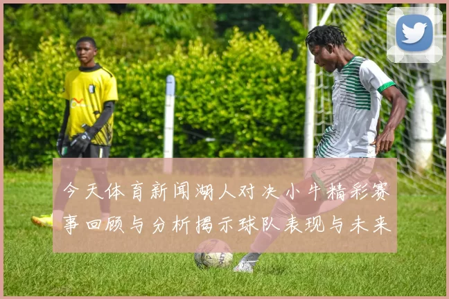 今天体育新闻湖人对决小牛精彩赛事回顾与分析揭示球队表现与未来展望