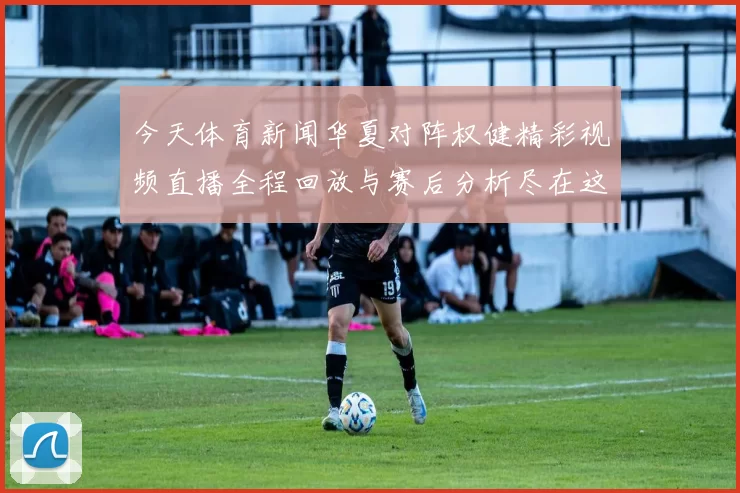 今天体育新闻华夏对阵权健精彩视频直播全程回放与赛后分析尽在这里